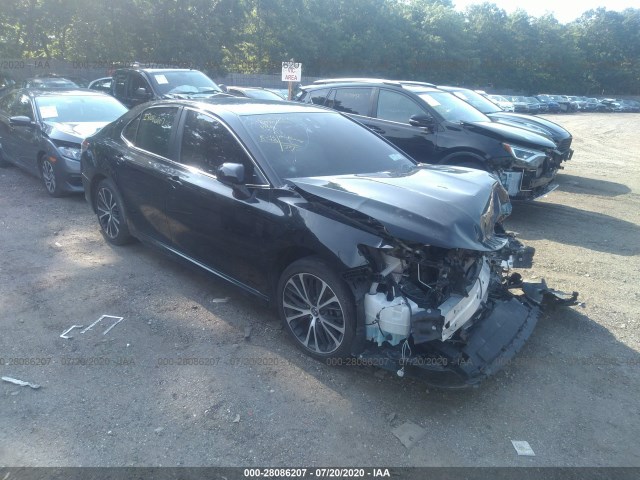 2019 toyota camry