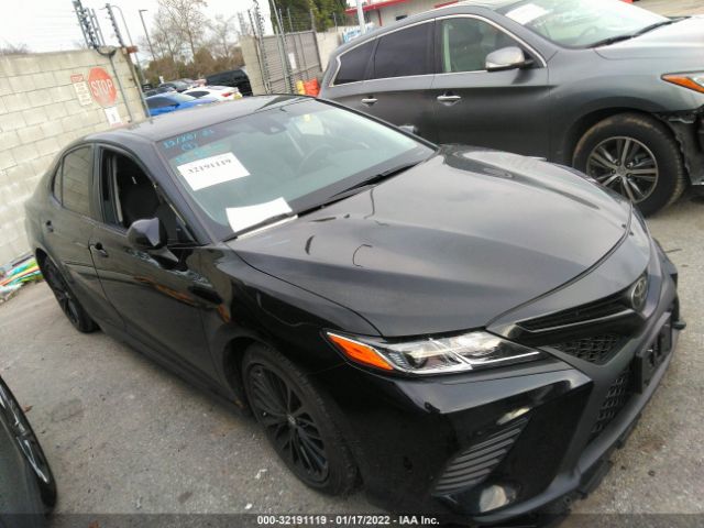 2019 toyota camry