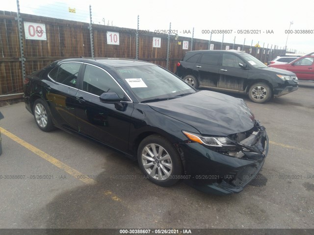 2019 toyota camry