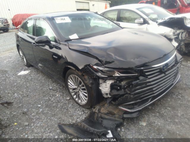 2019 toyota avalon