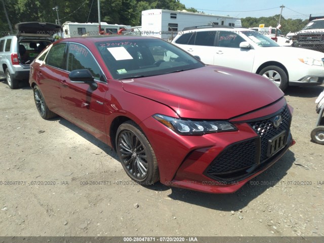 2019 toyota avalon