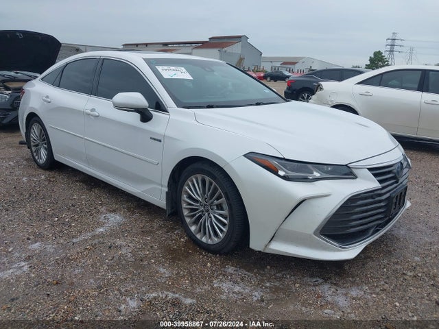 2019 toyota avalon