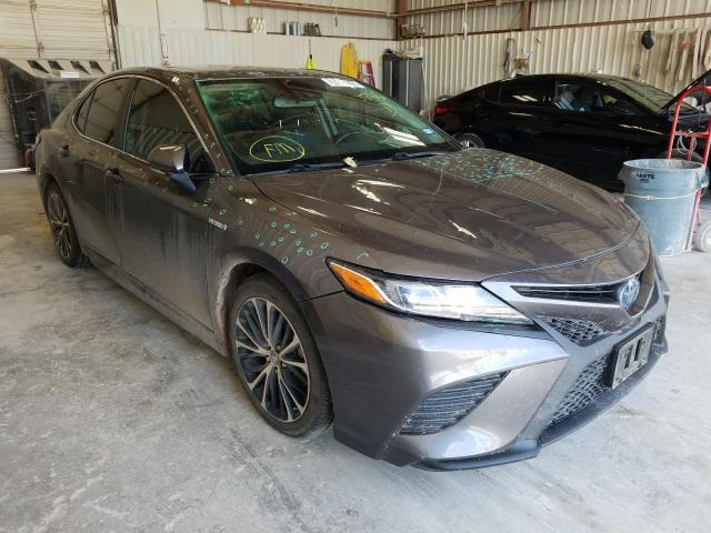 2019 toyota camry hybr
