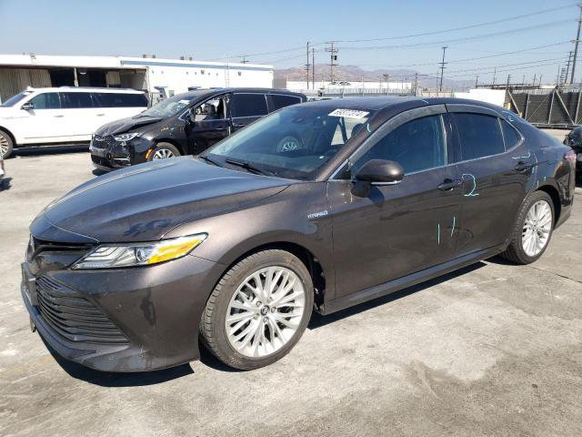 2019 toyota camry hybr