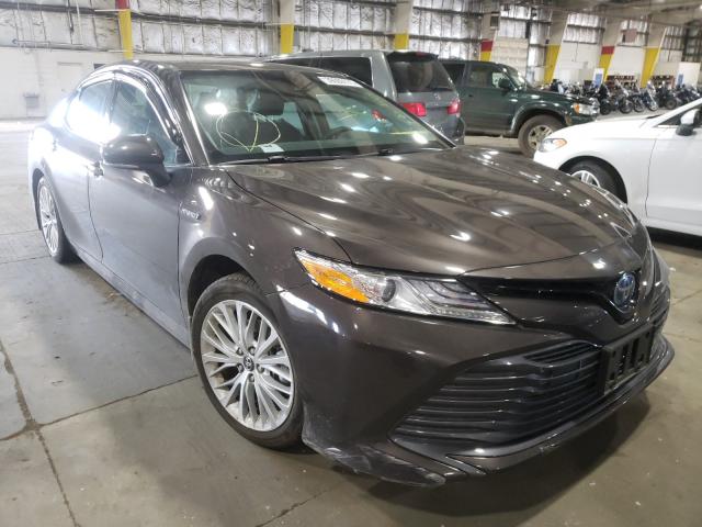 2019 toyota camry
