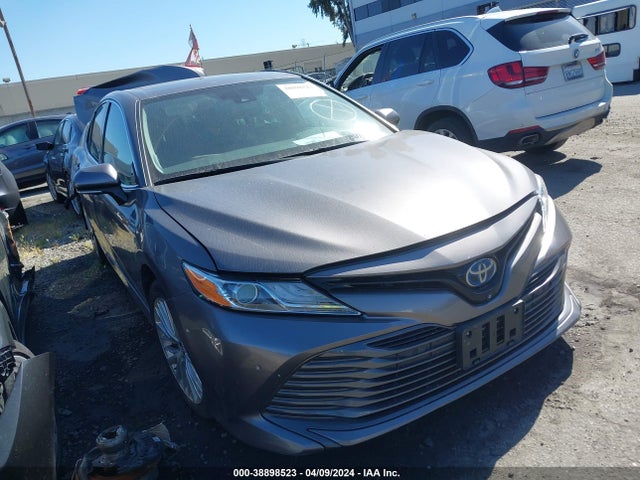 2019 toyota camry hybrid