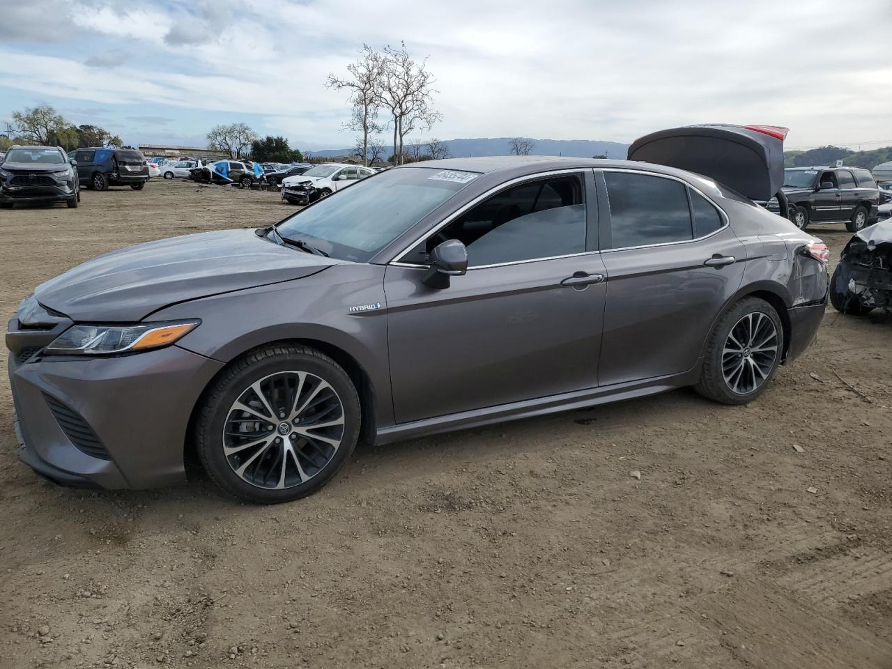 2019 toyota camry