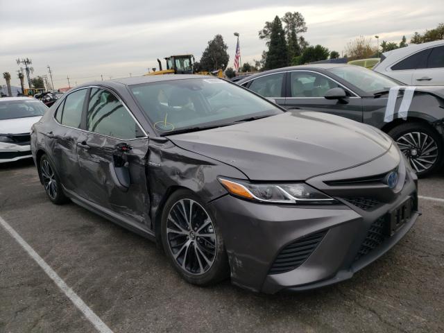 2019 toyota camry hybr