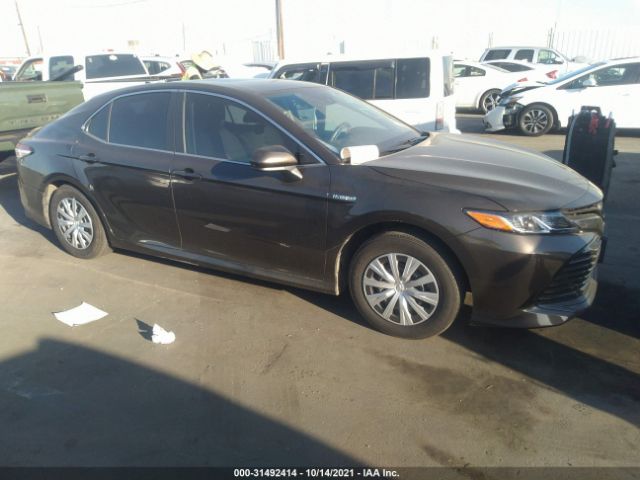 2019 toyota camry