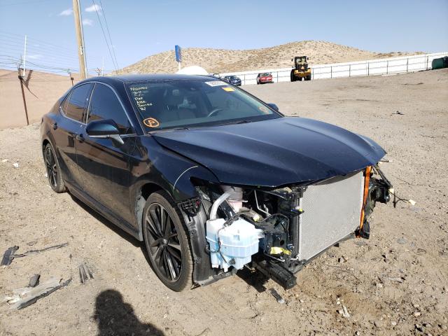 2019 toyota camry