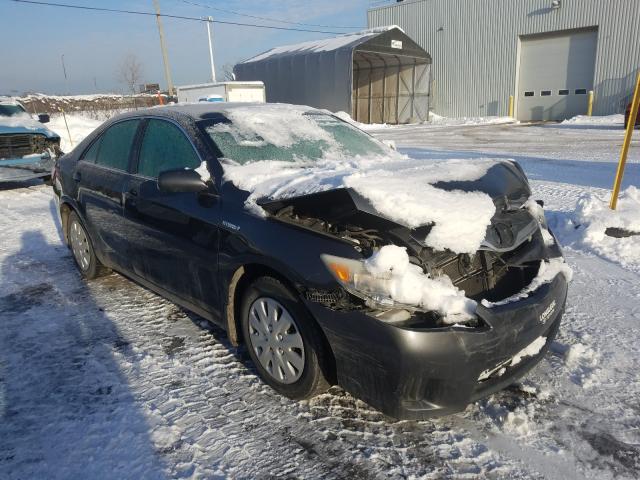 2010 toyota camry hybr