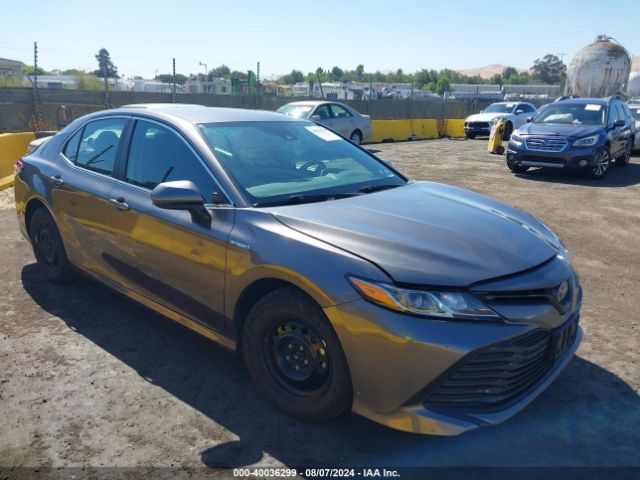 2020 TOYOTA Camry