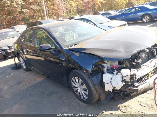 2019 toyota camry