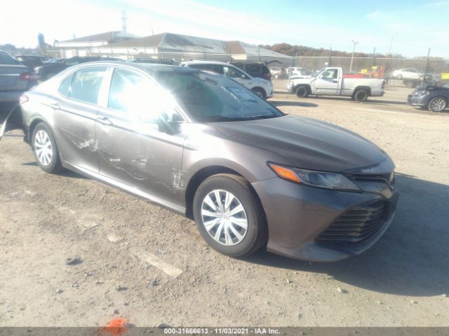 2020 toyota camry