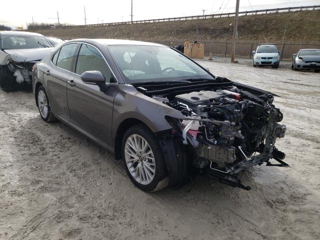 2020 toyota camry xle