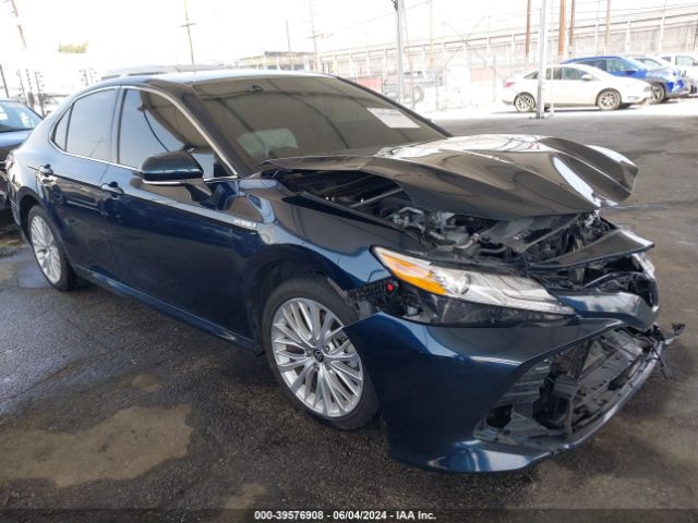 2020 toyota camry