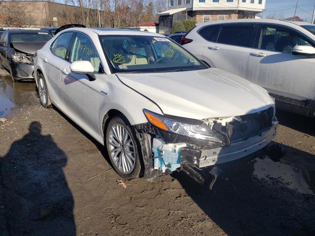 2020 toyota camry xle