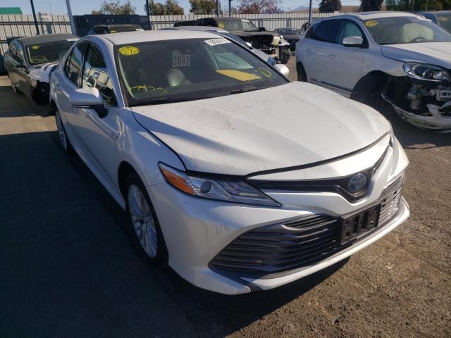 2019 toyota camry xle