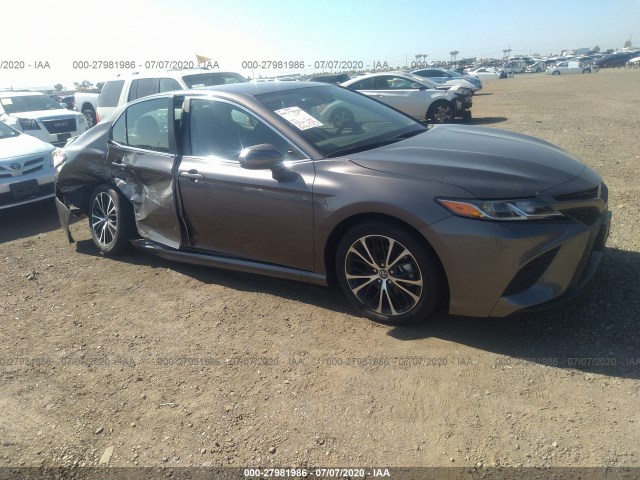 2020 toyota camry