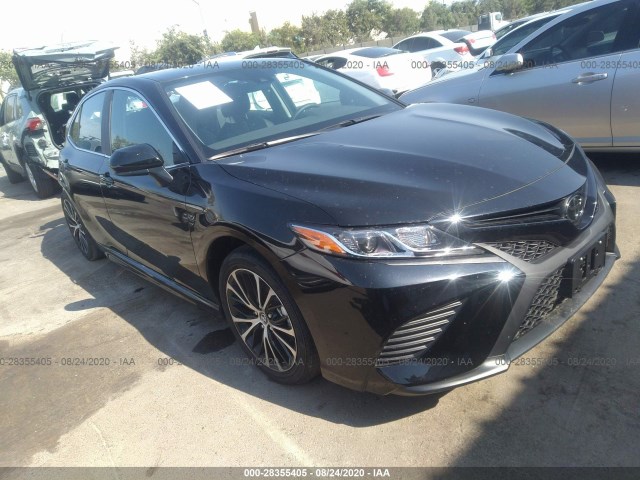 2019 toyota camry