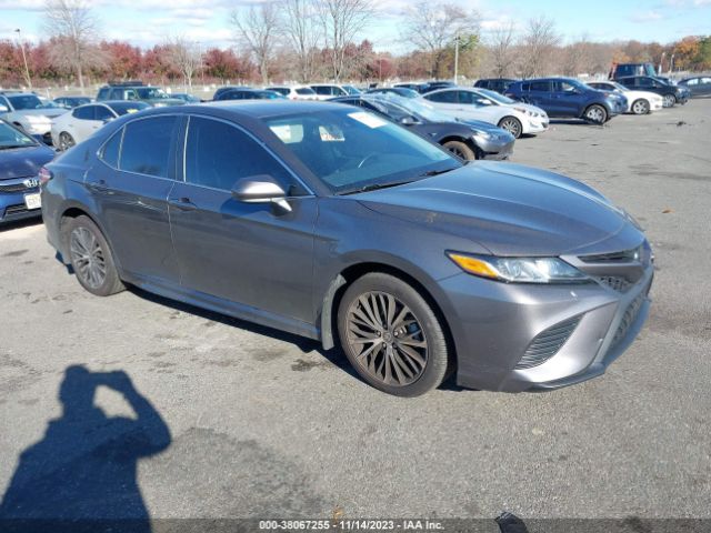 2020 toyota camry