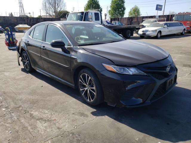 2019 toyota camry