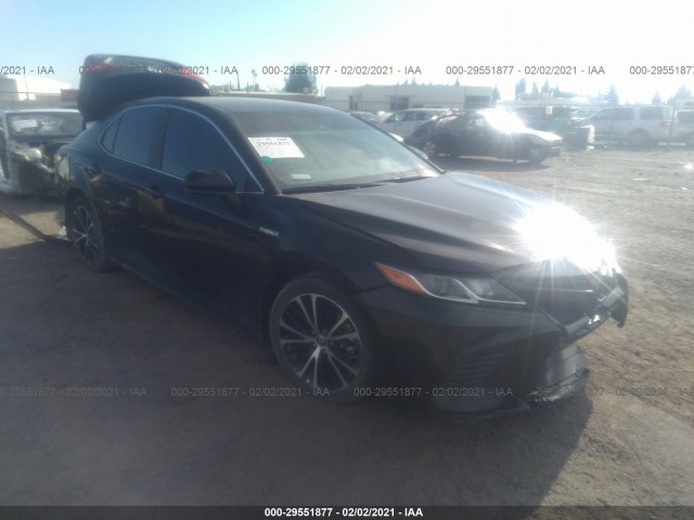 2020 toyota camry