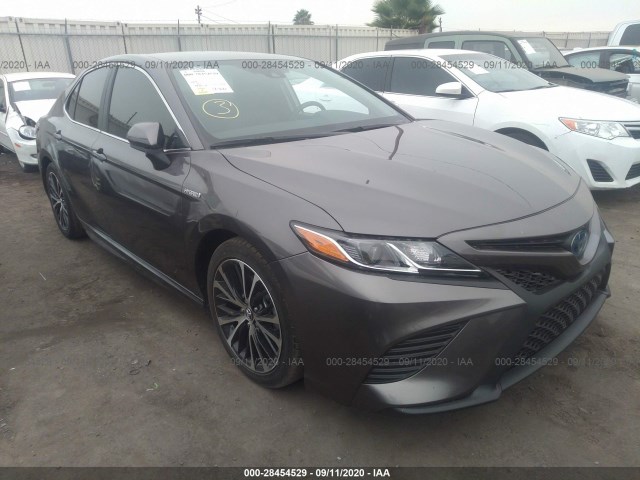 2021 toyota camry