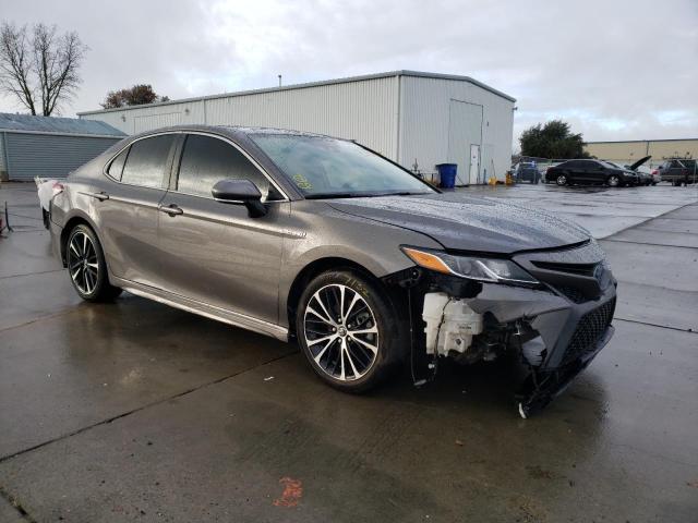 2020 toyota camry