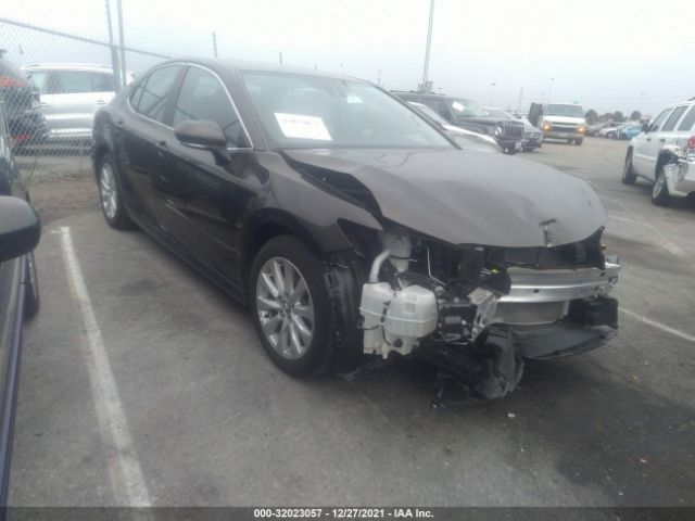 2019 toyota camry