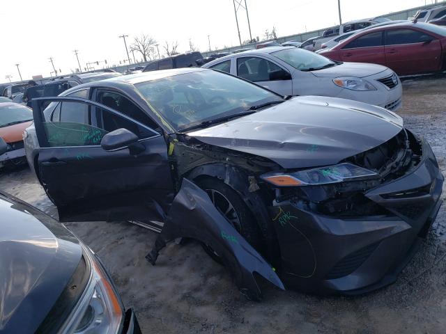 2020 toyota camry