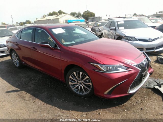 2019 lexus es