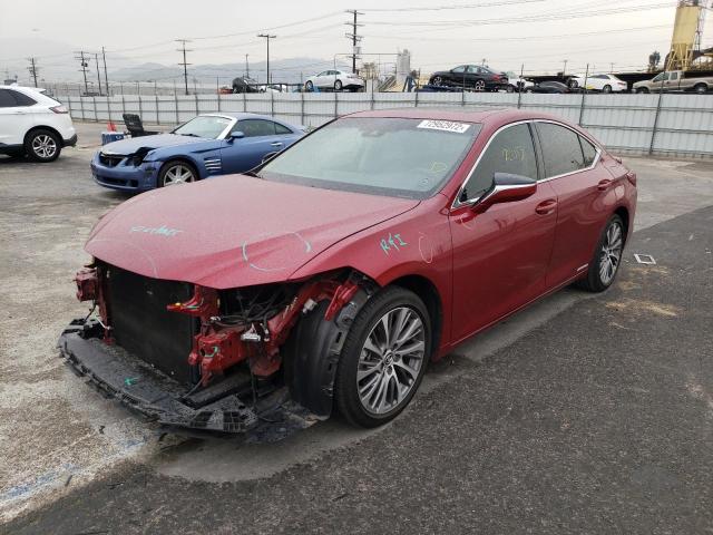 2019 lexus es 300h