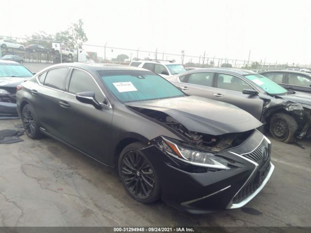 2019 lexus es