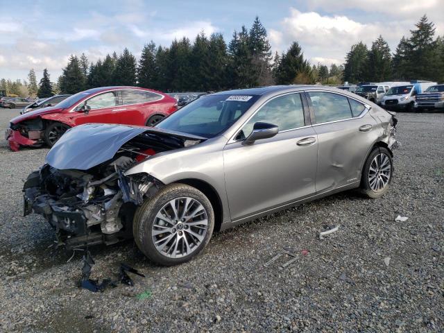 2019 lexus es 300h