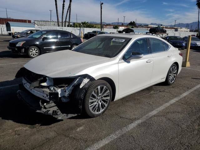 2019 lexus es 300h