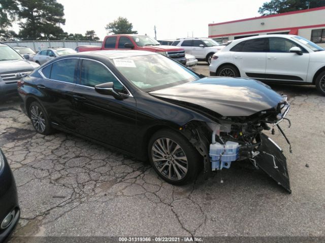 2019 lexus es 300h