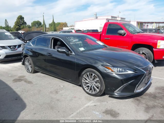 2019 lexus es 300h