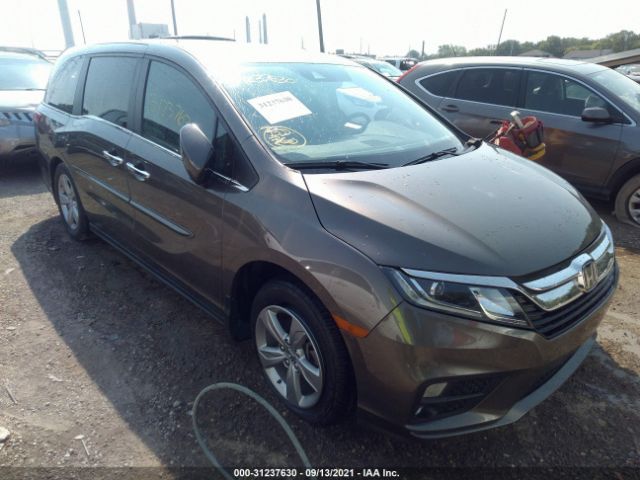 2019 honda odyssey