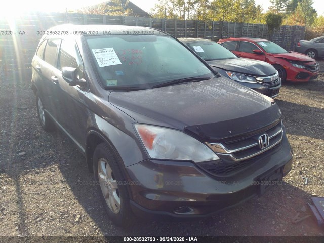 2010 honda cr-v
