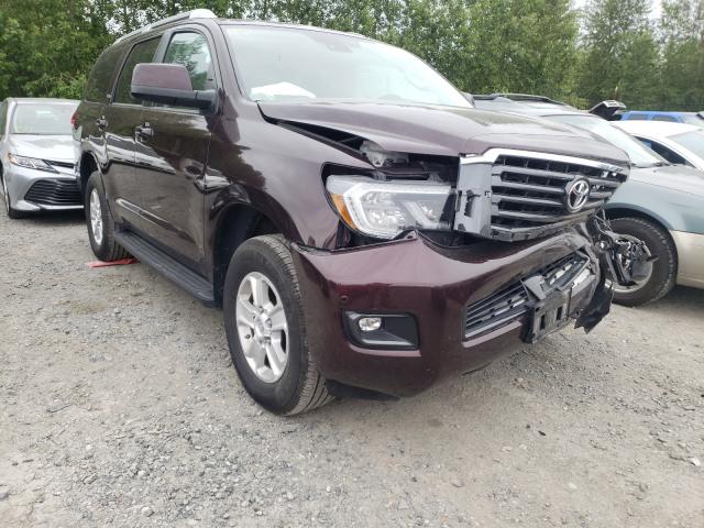 2019 toyota sequoia sr