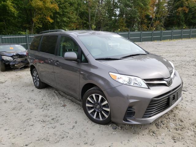2019 toyota sienna le