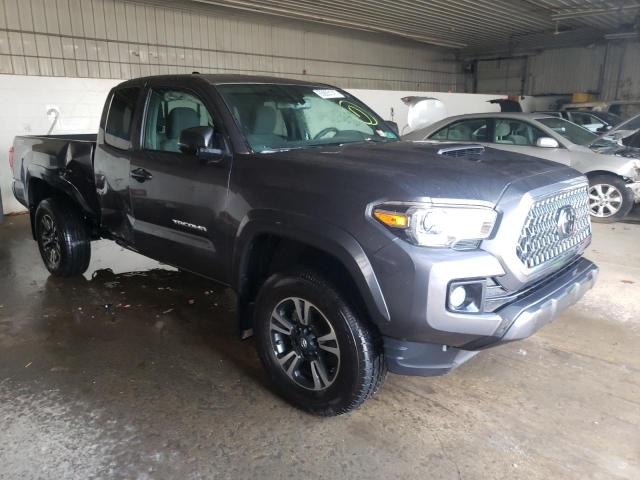 2019 toyota tacoma