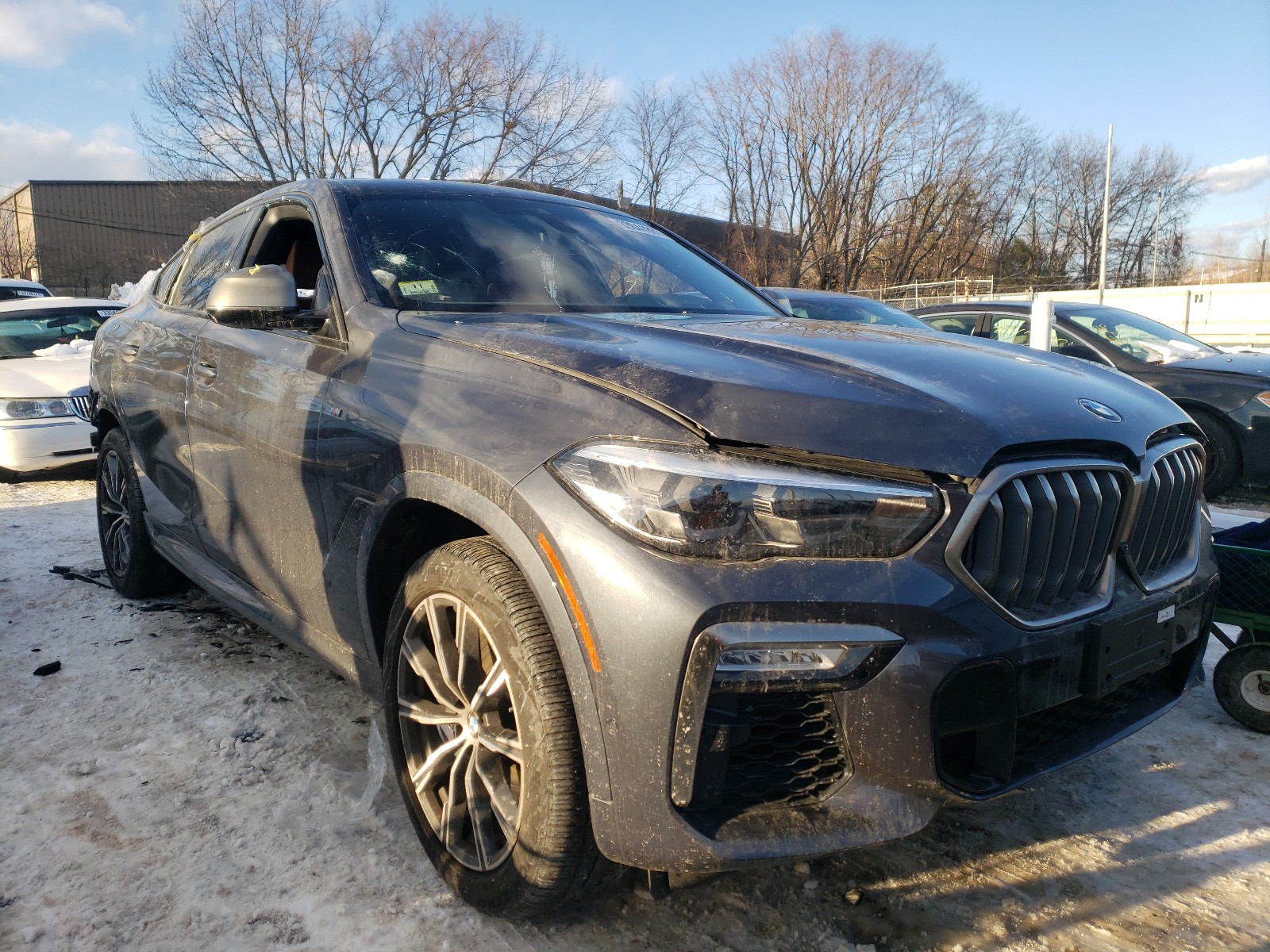 2019 bmw x6