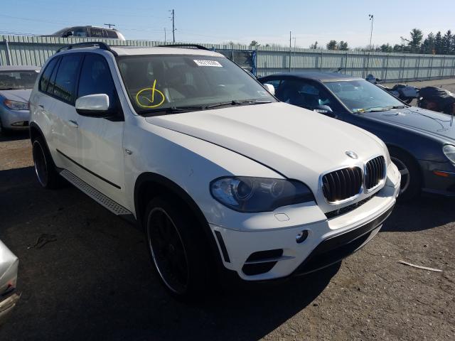 2010 bmw x5