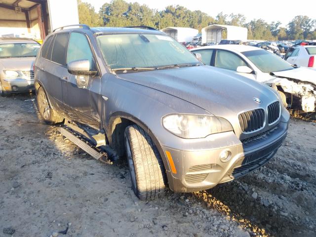 2010 bmw x5
