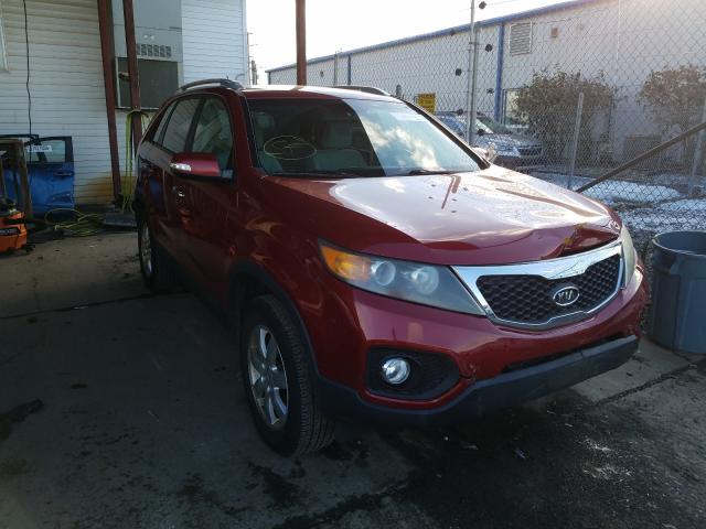 2010 kia sorento