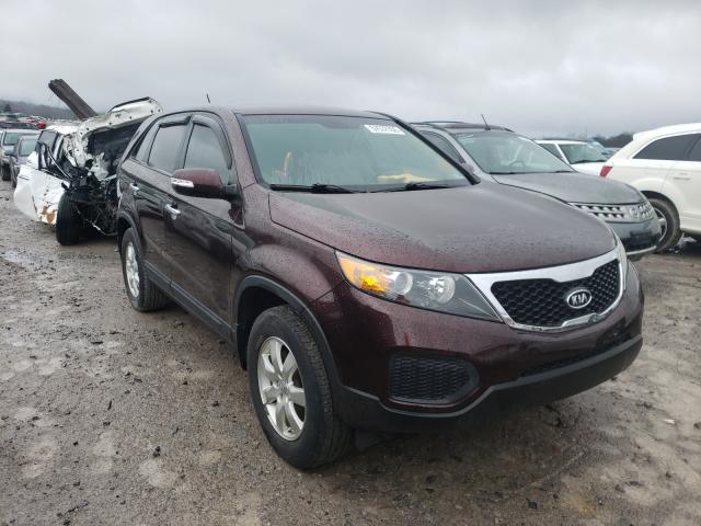 2011 kia sorento