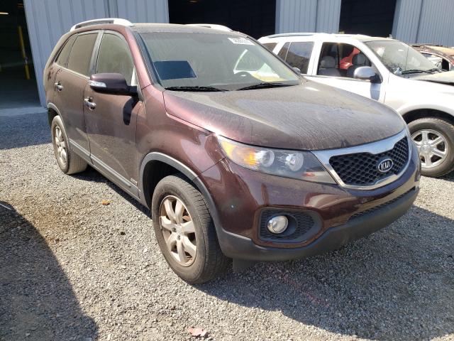 2010 kia sorento