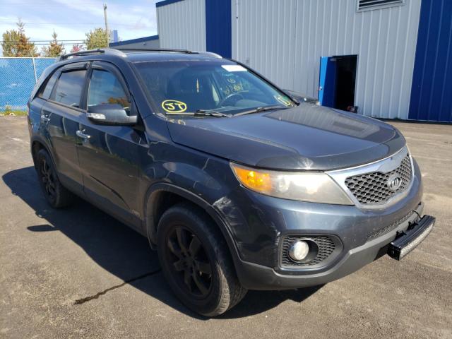 2010 kia sorento